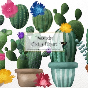 Watercolor Cactus Clip Art - digital cactus and succulent clipart graphics in PNG format instant download for commercial use