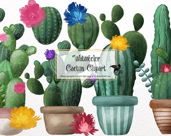 Watercolor Cactus Clipart – Succulent PNG Graphics (Digital Download)