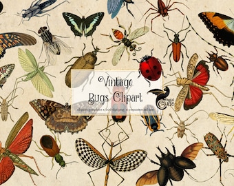 downloadable images stickers pack scrapbook paper,stickers vintage beetles bugs clip art,Insect leaf cliparts PNG