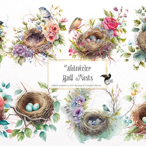 Clipart de ninhos de pássaros em aquarela - pássaros e flores fofos da primavera, download instantâneo em formato PNG para uso comercial