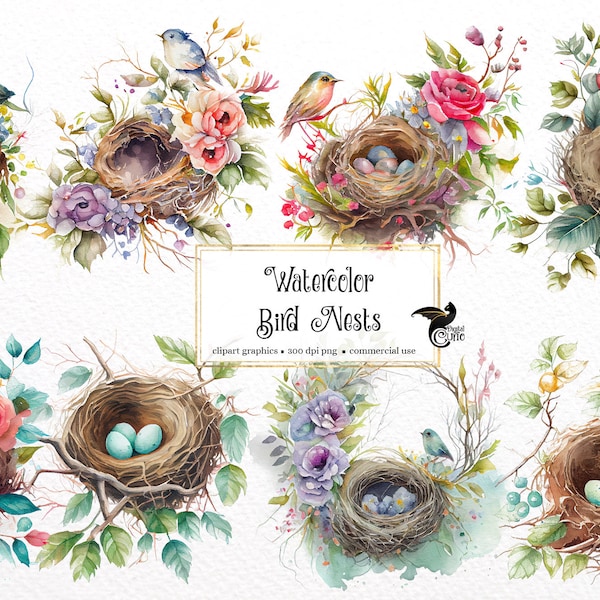 Watercolor Bird Nests Clipart - springtime cute birds and blossoms PNG format instant download for commercial use
