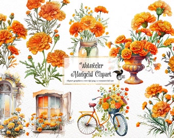 Watercolor Marigold Clipart - fall floral calendula flowers PNG format instant download for commercial use