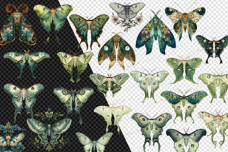 Puede incluir: Una colecci&oacute;n de 17 ilustraciones de polillas verdes y azules intrincadamente detalladas con varios patrones y formas de alas. Las polillas est&aacute;n dispuestas en un estilo de collage sobre un fondo transparente.