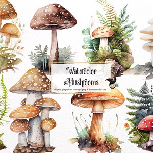 Op de afbeelding: Waterverf illustraties van verschillende paddenstoelen in verschillende kleuren en stijlen. De paddenstoelen zijn omringd door groene varens en ander gebladerte. De tekst "Watercolor Mushrooms" is geschreven in een decoratief lettertype.
