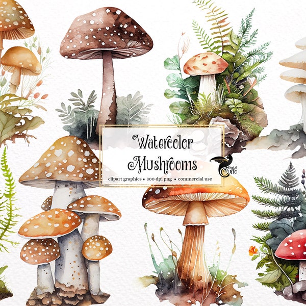 Watercolor Mushrooms Clipart - cute forest nature toadstool clip art PNG format instant download for commercial use