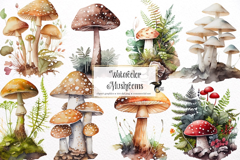 Op de afbeelding: Waterverf illustraties van verschillende paddenstoelen in verschillende kleuren en stijlen. De paddenstoelen zijn omringd door groene varens en ander gebladerte. De tekst "Watercolor Mushrooms" is geschreven in een decoratief lettertype.