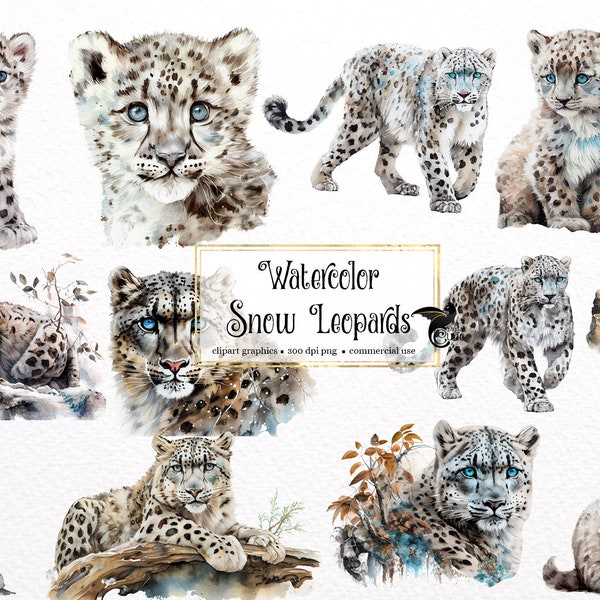 Watercolor Snow Leopard Clipart - cute forest animals PNG format instant download for commercial use