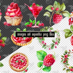 Watercolor Raspberry Clipart - Digital Png Raspberry Graphics for ...