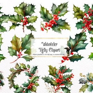 Aquarela Holly Clipart - clipart botânico de inverno em formato PNG, download instantâneo para uso comercial