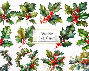 Watercolor Holly Clipart - winter botanical clip art in PNG format instant download for commercial use