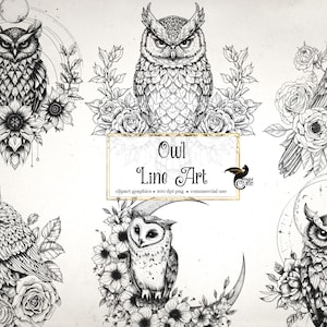 Eule Linie Art Clipart - florale ClipArt und Collage Blätter für veränderte Kunst oder Junk Journals sofortiger Download kommerzielle Nutzung