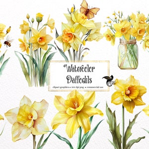 Akvarell påsklilja Clipart - vårblommor i PNG-format direkt nedladdning för kommersiellt bruk