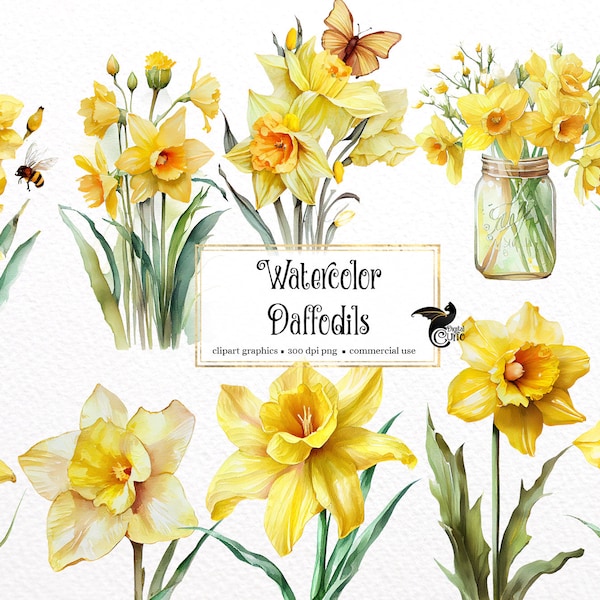 Watercolor Daffodil Clipart - spring flowers in PNG format instant download for commercial use