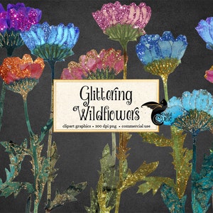 Clipart de fleurs sauvages scintillantes, téléchargement instantané numérique, clipart fleur, clipart fleur séchée, graphiques de fleurs pressées, collage numérique