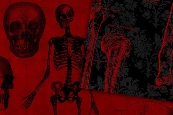 Vampire Anatomy Digital Paper, Seamless Anatomical Illustrations