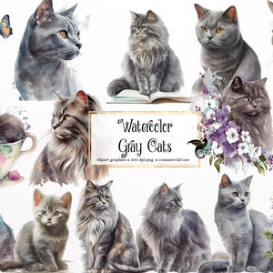 Aquarel Grey Cats Clipart - schattige bloemenkatten en kittens met wilde bloemen PNG formaat instant download voor commercieel gebruik
