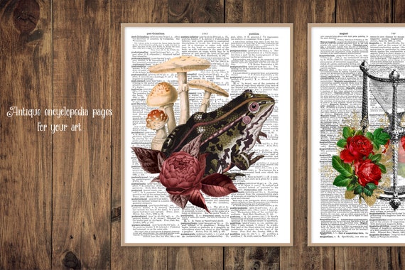Antique Encyclopedia Pages - Digital Backgrounds of Vintage