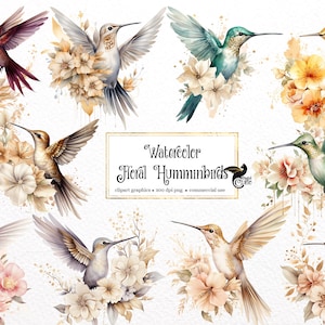 May include: Watercolour illustrations of hummingbirds with floral arrangements. The hummingbirds are in various colours, including green, blue, brown, and purple. The flowers are in shades of pink, yellow, and white.