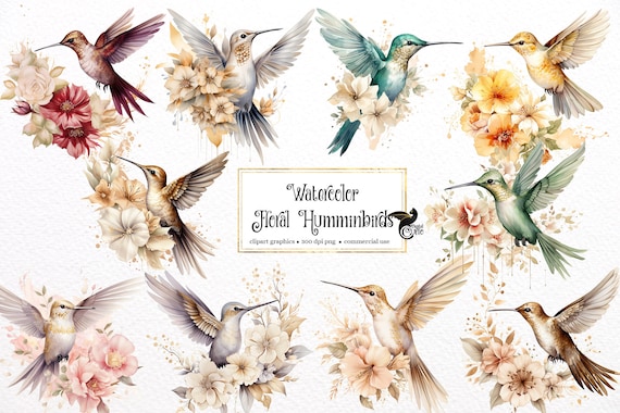 Watercolor Floral Hummingbird Clipart – PNG Graphics (Digital Download)
