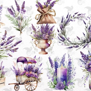 May include: Watercolor illustrations of lavender flowers in various arrangements.  The illustrations include a bouquet in a vase, a wreath, a jar of lavender, a lavender-filled wagon, a lavender-filled burlap sack, and a candle with lavender accents.