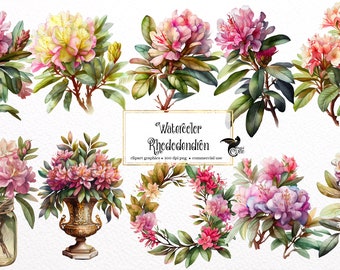 Watercolor Rhododendron Clipart - flowers and bouquets in PNG format instant download for commercial use