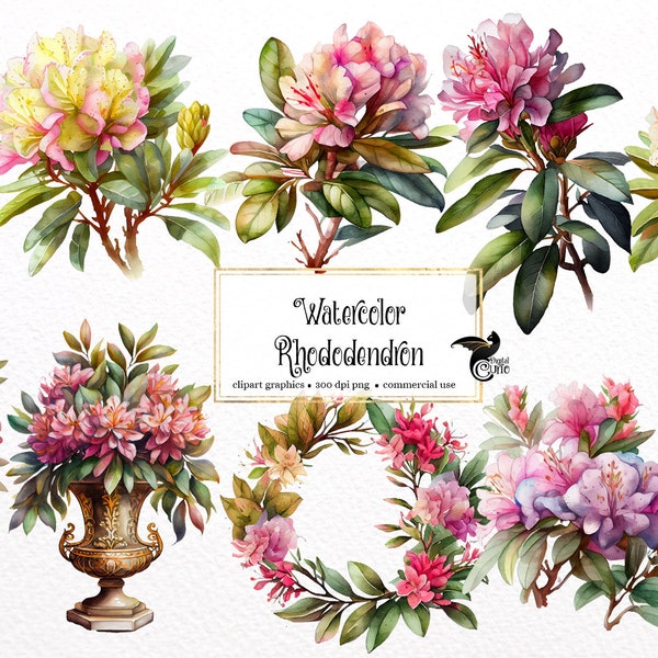 Watercolor Rhododendron Clipart - flowers and bouquets in PNG format instant download for commercial use