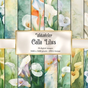 Sfondi acquerello Calla Lily, carta digitale con lavaggio ad acquerello, carta scrapbook stampabile giardino primaverile floreale