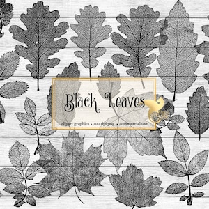 May include: A collection of black and white leaf illustrations on a white wooden backdrop. The image showcases diverse leaf types, such as oak and maple, with intricate details. The text "Black Leaves" is present in an elegant font.