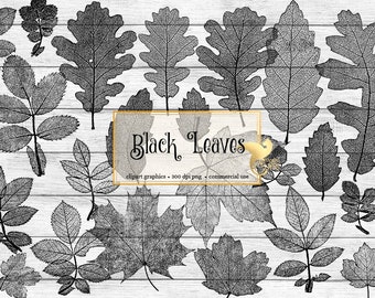 Black Leaf Clipart, Skeleton Leaves Overlay (Digital Download)