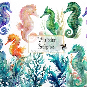 Watercolor Seahorse Clipart, cute nautical ocean animals PNG clip art graphics instant download for commercial use