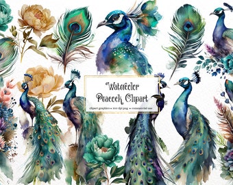 Watercolor Peacocks Clipart, aquarelle fantasy peacock feather clip art PNG graphics instant download for commercial use