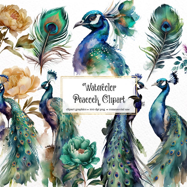 Watercolor Peacocks Clipart, aquarelle fantasy peacock feather clip art PNG graphics instant download for commercial use