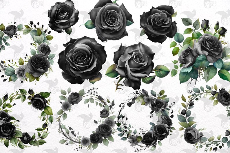 May include: A collection of black rose illustrations and floral arrangements. The image features individual roses, bouquets, and wreaths with green leaves. The roses have a watercolor effect, and the background is white.