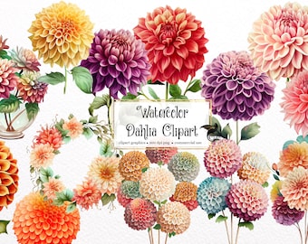 Watercolor Dahlia Clipart - dahlias in PNG format instant download for commercial use