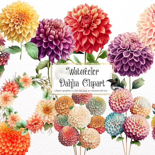 Watercolor Dahlia Clipart - dahlias in PNG format instant download for commercial use