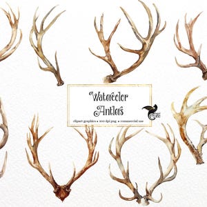 May include: Watercolor illustration of various deer antlers in shades of brown and tan. The antlers are arranged on a white background. Text in a gold frame reads "Watercolor Antlers".