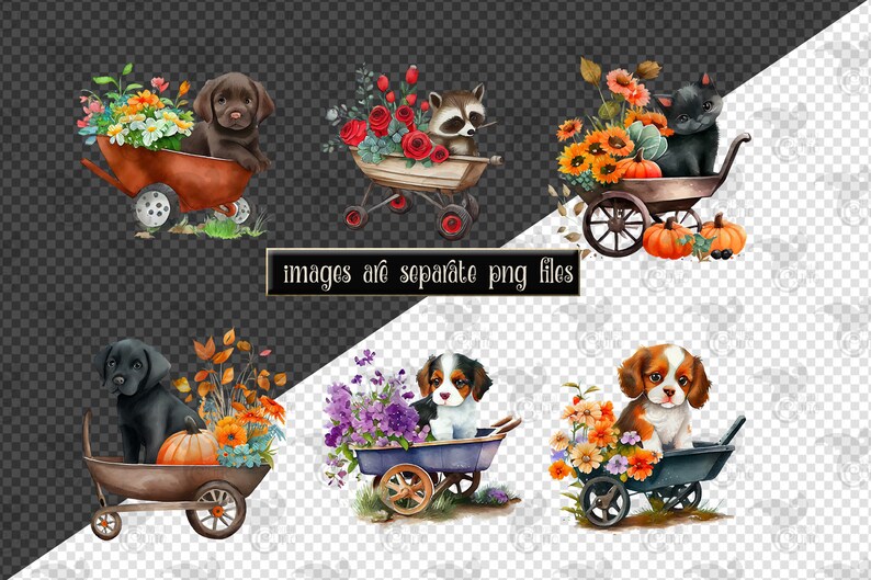 May include: Six watercolor illustrations of animals in wheelbarrows with fall-themed flowers. A black dog, a brown and white dog, a black cat, a raccoon, and two brown and white dogs are in the wheelbarrows. The wheelbarrows are filled with sunflowers, pumpkins, and fall leaves.
