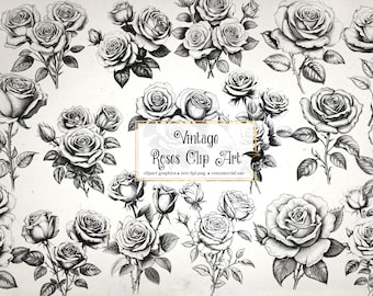 Clipart z różami w stylu vintage – ilustracje kwiatowe w stylu antycznym (do pobrania w formacie PNG)