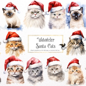 Clipart aquarelle Santa Cats - mignons chats de Noël et chatons au format PNG téléchargement immédiat pour un usage commercial