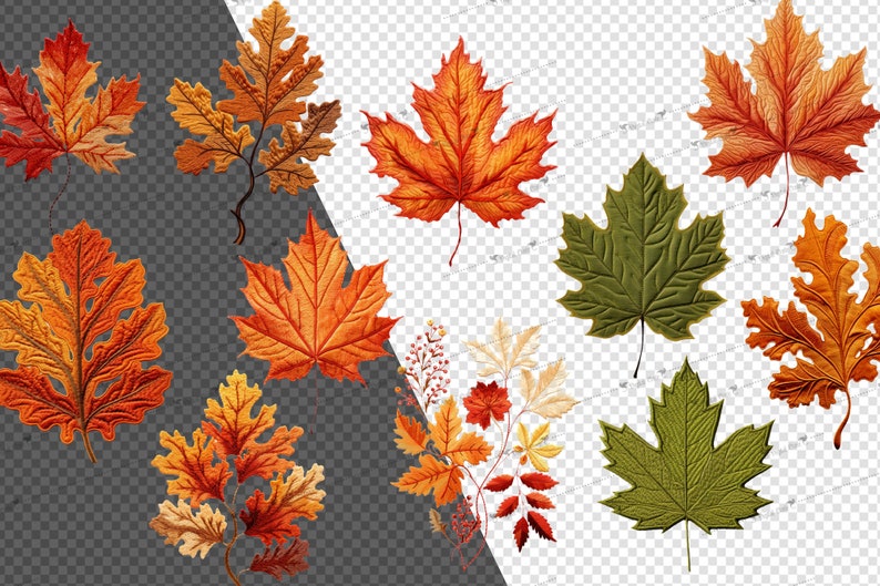 Embroidered Fall Leaf Clipart – Autumn PNG Graphics (commercial Use) - Etsy