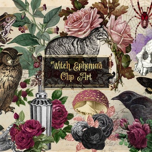 May include: A digital clip art set featuring a variety of witchy elements, including a black cat, owl, skull, spider, crow, mushrooms, and roses in shades of pink, burgundy, and black. The text "Witch Ephemera Clip Art" is displayed in a black banner.