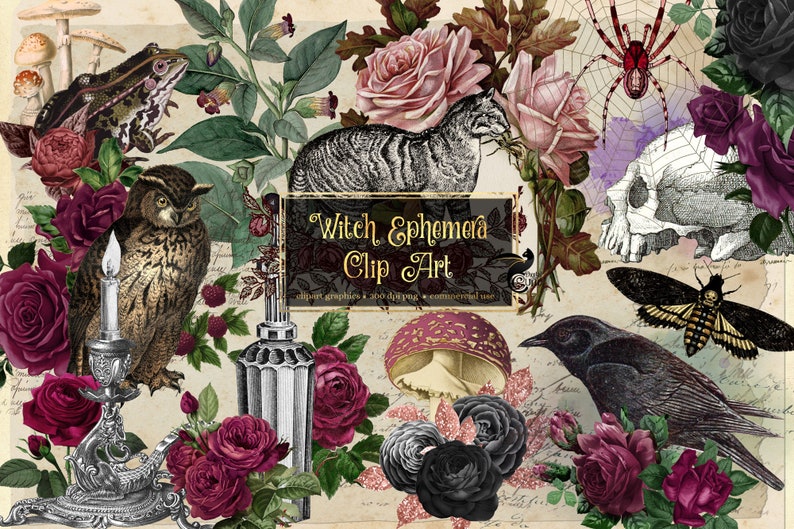 May include: A digital clip art set featuring a variety of witchy elements, including a black cat, owl, skull, spider, crow, mushrooms, and roses in shades of pink, burgundy, and black. The text "Witch Ephemera Clip Art" is displayed in a black banner.