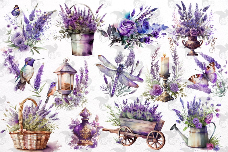 May include: A watercolor illustration featuring lavender flowers in various arrangements, including a bucket, a vase, a watering can, a basket, and a wagon. There are also a hummingbird, a dragonfly, a butterfly, a candle holder, and a bottle of perfume.
