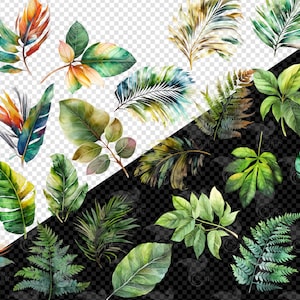 May include: A collection of watercolor illustrations of tropical leaves and flowers. The leaves are in various shades of green, yellow, and orange. The flowers are in shades of red, orange, and yellow.