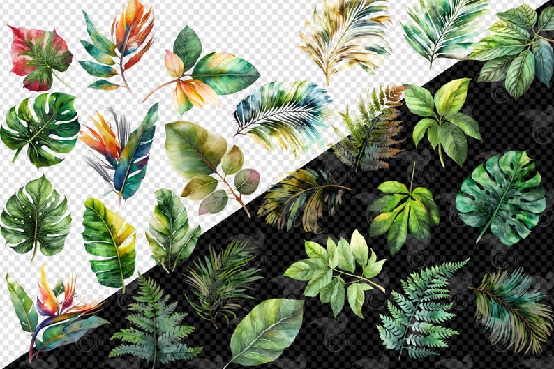 May include: A collection of watercolor illustrations of tropical leaves and flowers. The leaves are in various shades of green, yellow, and orange. The flowers are in shades of red, orange, and yellow.