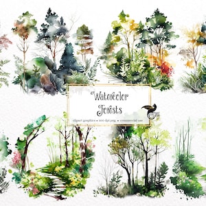 May include: Watercolor illustrations of various forest scenes, including trees, foliage, and paths. The illustrations are in shades of green, brown, and blue, with a white background. The text "Watercolor Forests" is written in a gold frame.