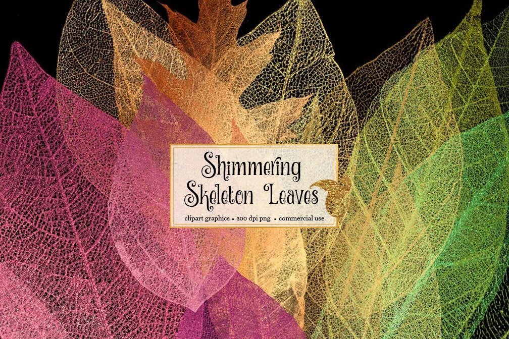 Shimmering Skeleton Leaves, Iridescent Autumn Leaf Clipart, Fall leaf overlays, Dead Leaves, Leaf Skeleton clip art instant download