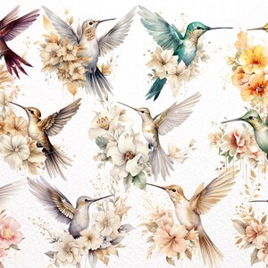 May include: Watercolour painting of ten hummingbirds with floral arrangements. The hummingbirds are in various colours, including green, blue, brown, and yellow. The flowers are in shades of pink, white, and yellow.