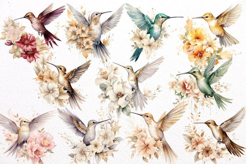 May include: Watercolour painting of ten hummingbirds with floral arrangements. The hummingbirds are in various colours, including green, blue, brown, and yellow. The flowers are in shades of pink, white, and yellow.