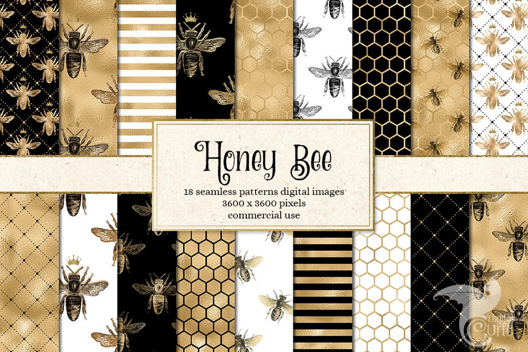 Ong mật đen và vàng - Với một sự kết hợp màu sắc độc đáo, hình ảnh này sẽ khiến bạn có được một cái nhìn khác về chú ong mật quen thuộc. Hãy cùng đón xem chú ong mật đen và vàng trong tầm ảnh của bạn.